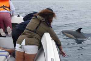 Sesimbra: Delfinskådningstur i Arrábida naturpark