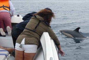 Sesimbra: Delfinsafari i naturparken Arrábida