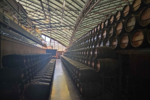 Azeitão vin och smaker – tradition och smak av Setúbal