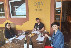 Azeitão vin och smaker – tradition och smak av Setúbal