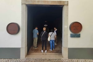 Azeitão vin och smaker – tradition och smak av Setúbal