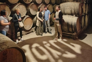 Azeitão vin och smaker – tradition och smak av Setúbal