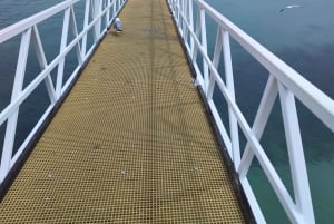 Setúbal, Sesimbra og Palmela – natur og kultur