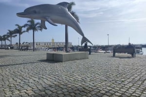 Setúbal, Sesimbra og Palmela – natur og kultur