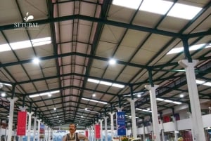 Setúbal, Sesimbra og Palmela – natur og kultur