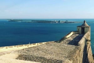 Setúbal, Sesimbra og Palmela – natur og kultur