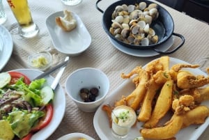 Setúbal, Sesimbra og Palmela – natur og kultur