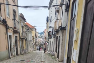 Setúbal, Sesimbra og Palmela – natur og kultur