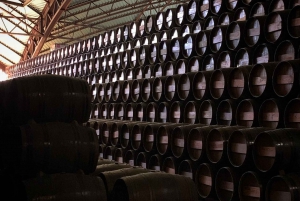 Fra Lissabon: Arrábida og Sesimbra – vin, natur og strandtur