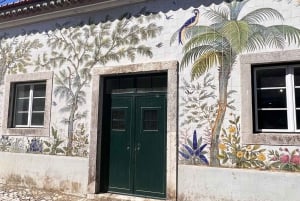 Fra Lissabon: Arrábida og Sesimbra – vin, natur og strandtur