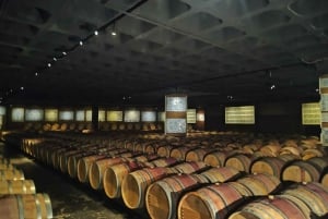 Fra Lissabon: Arrábida og Sesimbra – vin, natur og strandtur