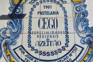 Fra Lissabon: Arrábida og Sesimbra – vin, natur og strandtur