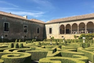 Fra Lissabon: Arrábida og Sesimbra – vin, natur og strandtur