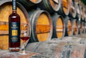 Setúbal Wine Tour: Discover the Moscatel Wine