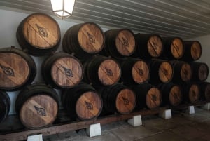 Setúbal Wine Tour: Discover the Moscatel Wine