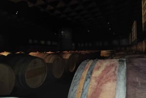 Setúbal Wine Tour: Discover the Moscatel Wine