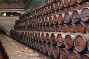 Setúbal Wine Tour: Discover the Moscatel Wine