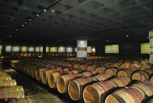 Setúbal Wine Tour: Discover the Moscatel Wine