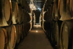 Setúbal Wine Tour: Discover the Moscatel Wine