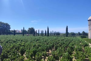 Setúbal Wine Tour: Discover the Moscatel Wine