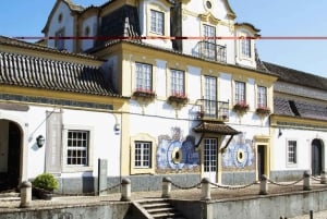 Setúbal Wine Tour: Discover the Moscatel Wine