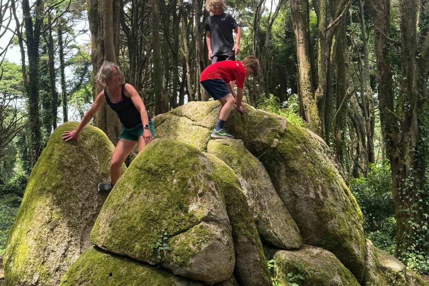 Sightseeing tour of Sintra Cascais natural park