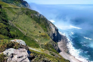 Sintra & Cascais: päiväkierros ja Penan palatsin liput