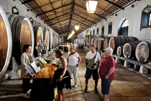 Sintra-Cascais: Tour particular com serviço de busca no hotel