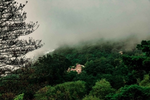 Sintra & Cascais: Tour for Foddies with Local culture