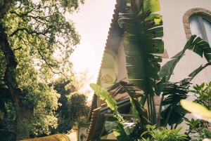 Sintra & Cascais: Tour for Foddies with Local culture