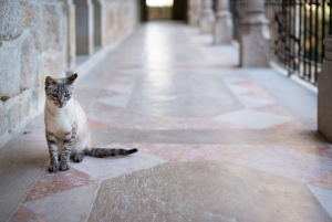 Sintra & Cascais: Tour for Foddies with Local culture