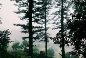 Sintra & Cascais: Tour for Foddies with Local culture