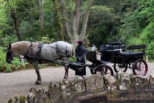 Sintra Express: Parque da Pena (billetter inkluderet) + Cabo da Roca + Cascais