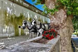 Sintra Express: Parque da Pena (billetter inkluderet) + Cabo da Roca + Cascais