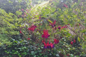 A magia de Sintra e as maravilhas da costa: Viagem de 1 dia a partir de Lisboa