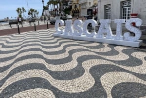 Sintra:Pena Palace,Moorish Castle & Q-Regaleira Private Tour