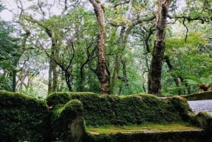 Sintra: Pena Palace. Moorish Castle. Regaleira. & Monserrate