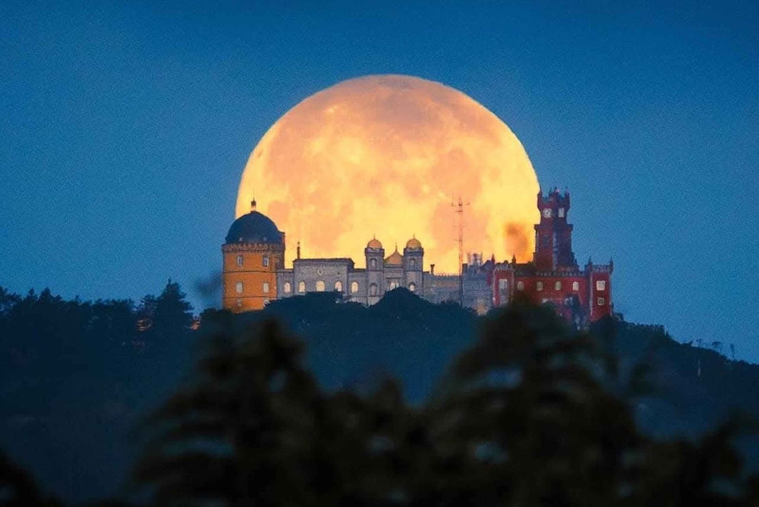 Sintra Private Tour - Pena, Regaleira & Cascais for Foddies