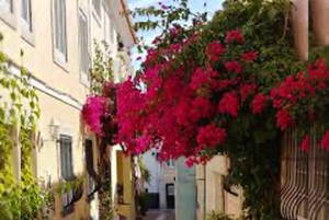 Sintra Private Tour - Pena, Regaleira & Cascais for Foddies