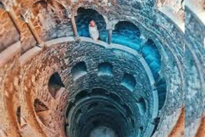 Sintra Private Tour - Pena, Regaleira & Cascais for Foddies