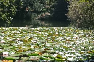 Sintra-Roca-Cascais: Private Guided Tour with a Local Expert