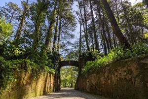 Экскурсия в Синтру для небольшой группы из Лиссабона с билетом в дворец Пена