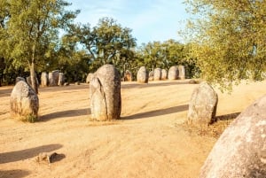 Small Group Évora Historical & Alentejo Wine Tour