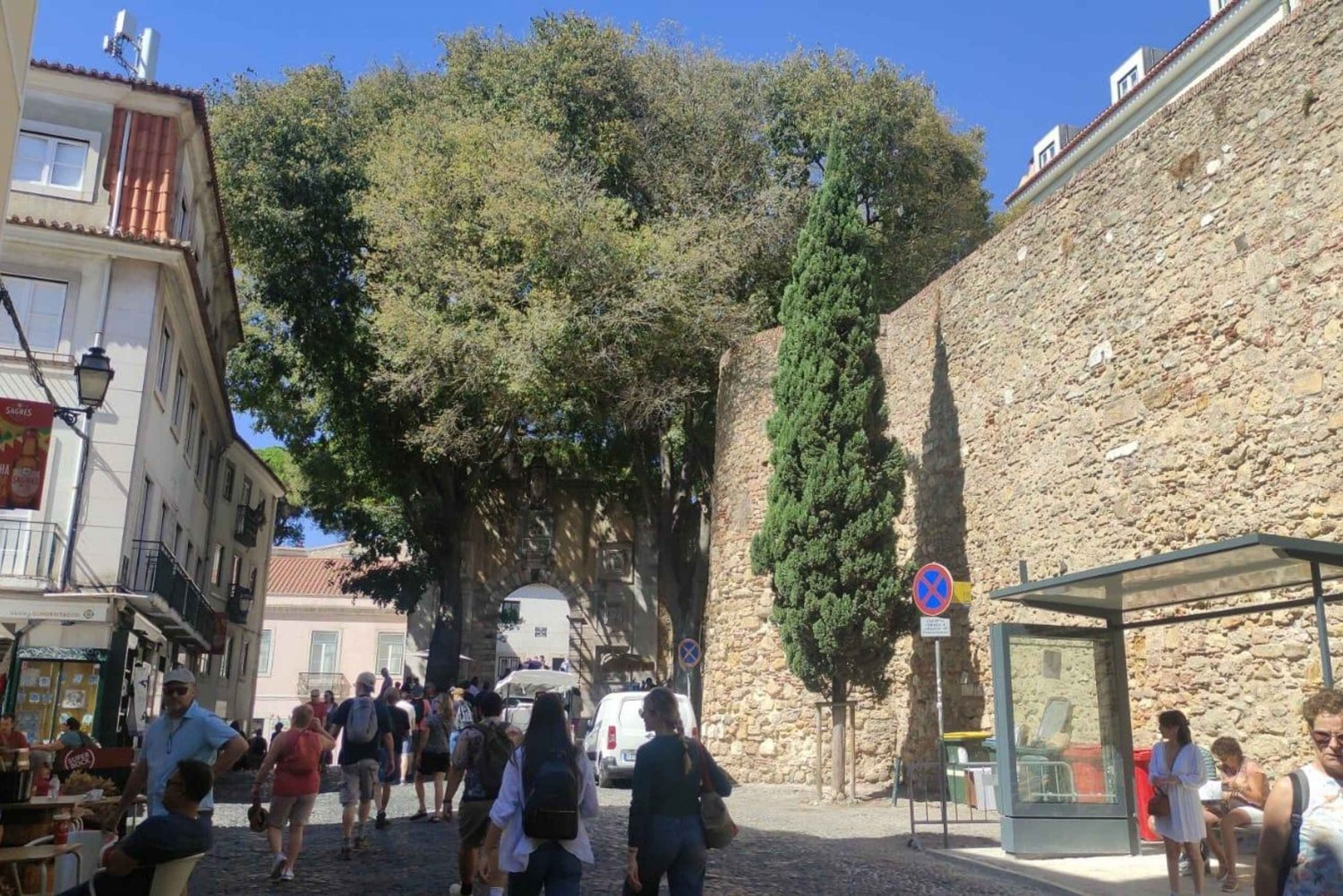 Ticket and Guided Visit to São Jorge Castle