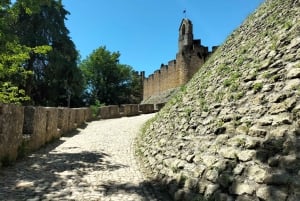 Tomar (Convent of Christ UNESCO): Half-Day Tour from Lisbon