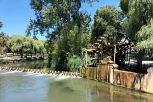 Tomar (Convent of Christ UNESCO): Half-Day Tour from Lisbon