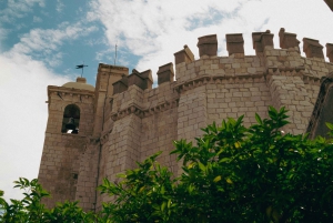 Tomar: Castello dei Cavalieri Templari e Convento di Cristo Tour