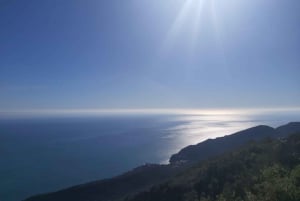 Geheimnisse von Setúbal & Magie der Arrábida-Berge: Ab Lissabon | PRIVAT
