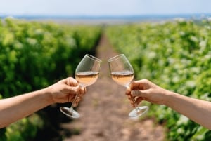 Lissabonista: ÉVORA + Capela dos Ossos + MONSARAZ + Alentejon viinit