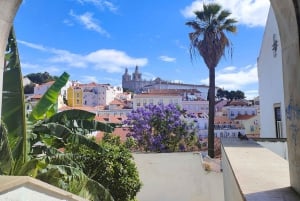 Treasures of Lisboa : Alfama Food Tour with 18 Tastings